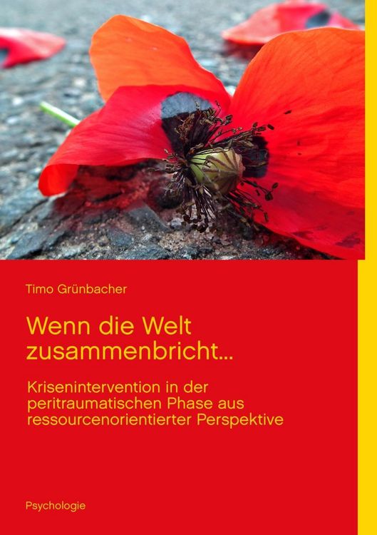 Produktbild: Wenn die Welt zusammenbricht...