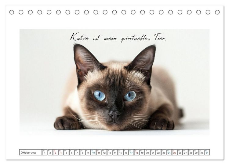 Produktbild: Katzenpower (Tischkalender 2026 DIN A5 quer), CALVENDO Monatskalender