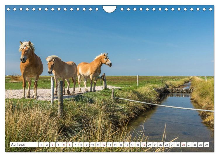 Produktbild: Schleswig-Holstein (Wandkalender 2026 DIN A4 quer), CALVENDO Monatskalender