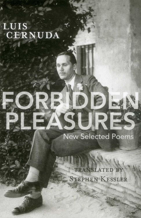 Produktbild: Forbidden Pleasures
