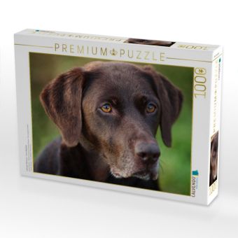 Produktbild: CALVENDO Puzzle Labrador Retriever - Treue Begleiter | 1000 Teile Lege-Gr&ouml;&szlig;e 64x48cm Foto-Puzzle f&uuml;r gl&uuml;ckliche Stunden