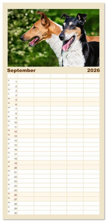 Produktbild: Familienplaner 2026 - Ein Freund f&uuml;rs Leben - Smooth Collie mit 5 Spalten (Wandkalender, 21 x 45 cm) CALVENDO
