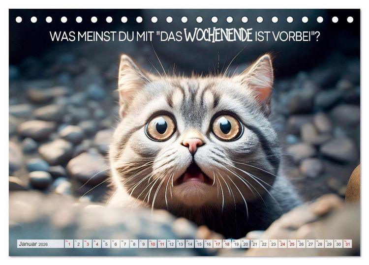 Produktbild: KATZEN-IRONIE Lach mal wieder (Tischkalender 2026 DIN A5 quer), CALVENDO Monatskalender