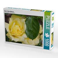 Produktbild: CALVENDO Puzzle Rosa 'Yellow Meilove' 1000 Teile Lege-Gr&ouml;&szlig;e 64 x 48 cm Foto-Puzzle Bild von Gisela Kruse
