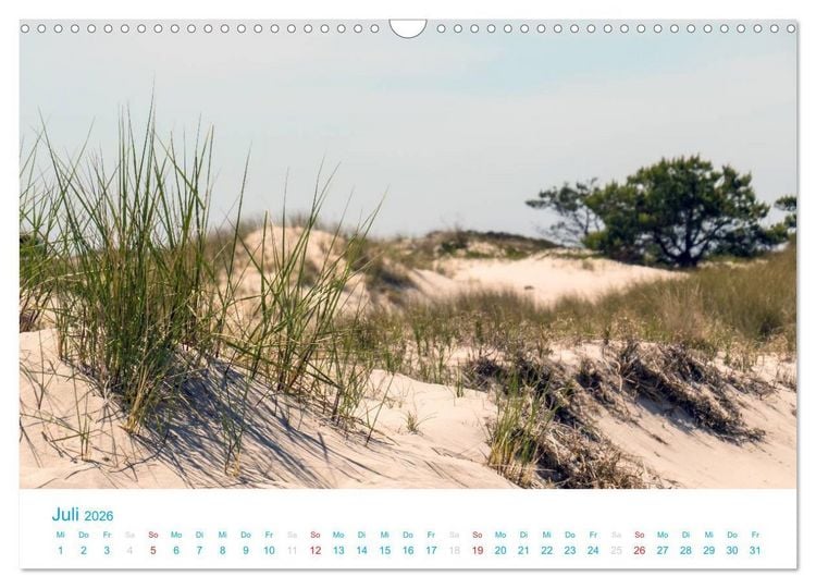 Produktbild: Der Dar&szlig; Kalender (Wandkalender 2026 DIN A3 quer), CALVENDO Monatskalender