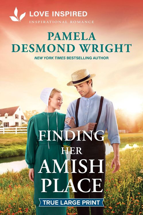 Produktbild: Finding Her Amish Place