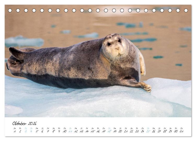 Produktbild: Heike Odermatt: 80&deg; Nord - Fotografien von Spitzbergen und Nordaustland (Tischkalender 2026 DIN A5 quer), CALVENDO Monatskalender