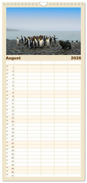 Produktbild: Familienplaner 2026 - Im Reich der Pinguine mit 5 Spalten (Wandkalender, 21 x 45 cm) CALVENDO