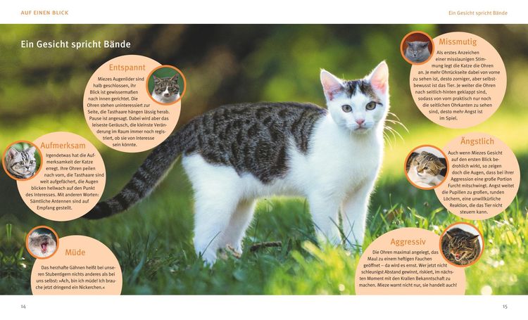 Produktbild: Katzensprache