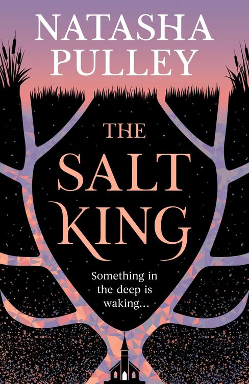 Produktbild: Salt King