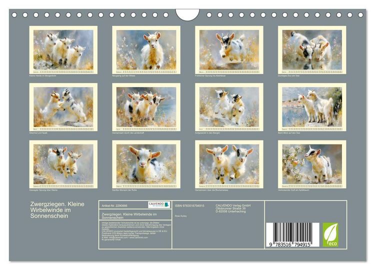 Produktbild: Zwergziegen. Kleine Wirbelwinde im Sonnenschein (Wandkalender 2027 DIN A4 quer), CALVENDO Monatskalender