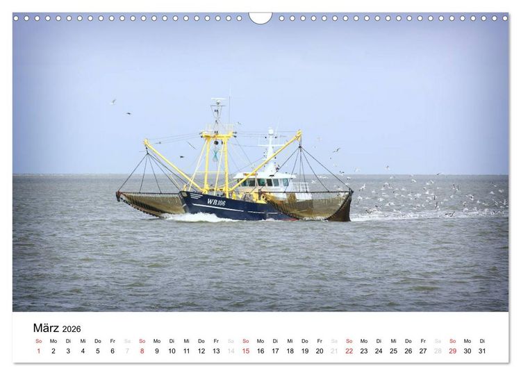 Produktbild: sch&ouml;nes Texel (Wandkalender 2026 DIN A3 quer), CALVENDO Monatskalender