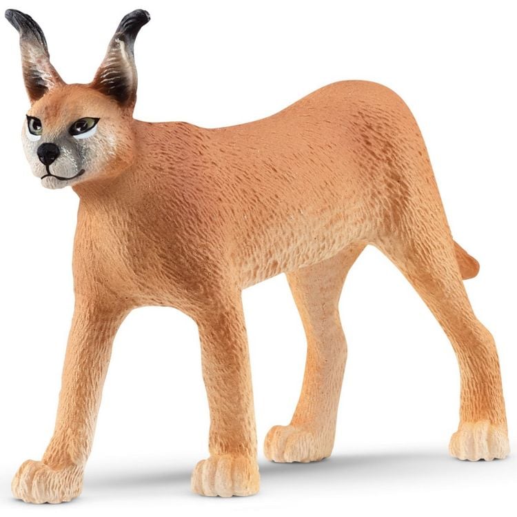 Produktbild: schleich&reg; 14867 - Wild Life, Karakal Weibchen, Raubkatze, Tierfigur