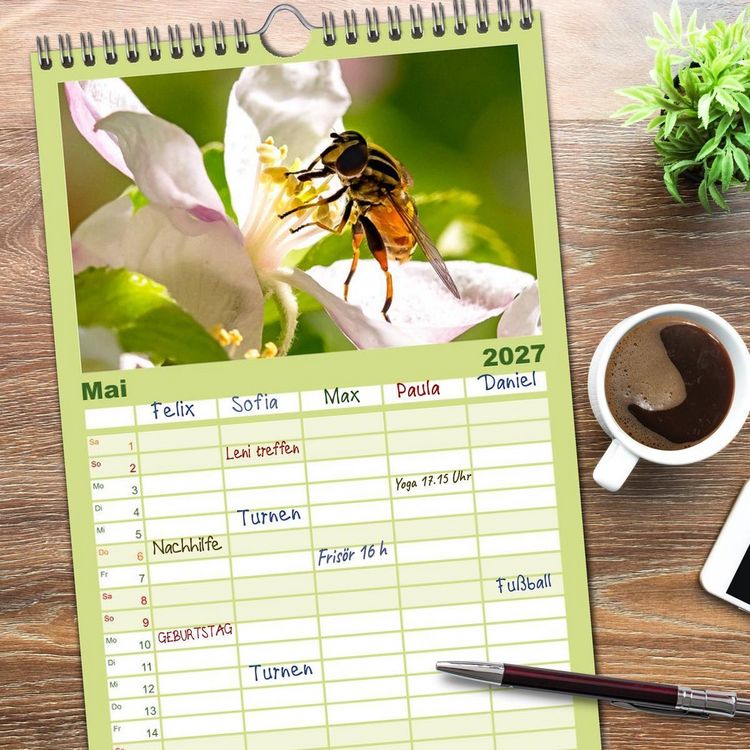 Produktbild: Familienplaner 2027 - INSEKTEN - Makrofotografie in freier Natur mit 5 Spalten (Wandkalender, 21 x 45 cm) CALVENDO