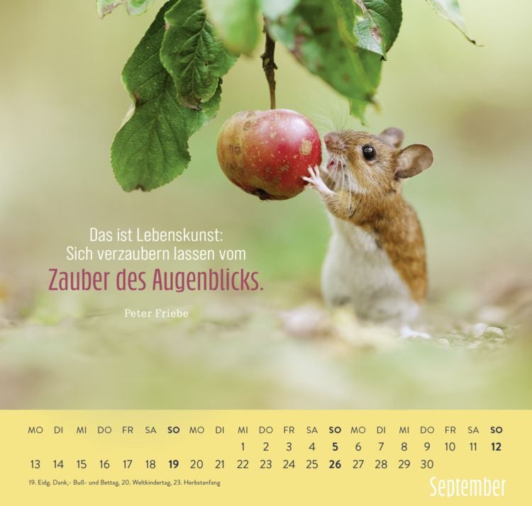 Produktbild: Wandkalender 2027: Kleine Gl&uuml;cksbringer f&uuml;r dein Jahr