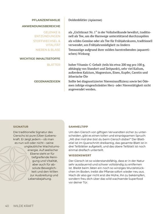 Produktbild: Wilde Kraft