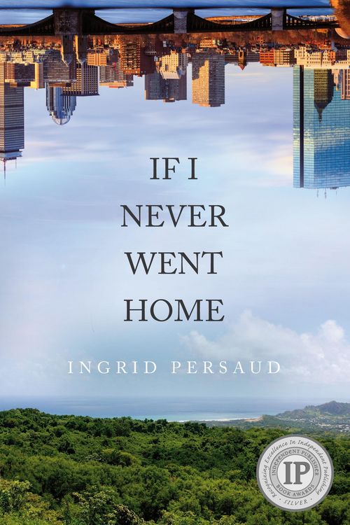 Produktbild: If I Never Went Home