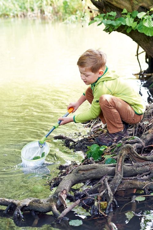 Produktbild: HABA - Terra Kids - Forschen und Entdecken - Kescher