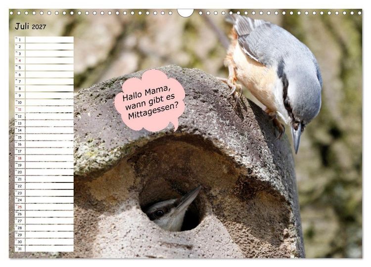 Produktbild: Wenn Tiere Sprechen k&ouml;nnten! Der lustige Spr&uuml;che Geburtstagskalender (Wandkalender 2027 DIN A3 quer), CALVENDO Monatskalender