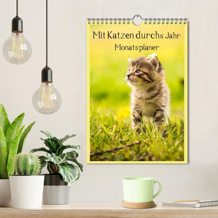 Produktbild: Mit Katzen durchs Jahr / Planer (Wandkalender 2026 DIN A4 hoch), CALVENDO Monatskalender