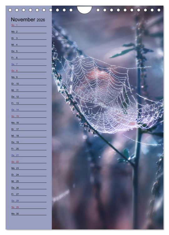 Produktbild: Pastell-Zauber (Wandkalender 2026 DIN A4 hoch), CALVENDO Monatskalender