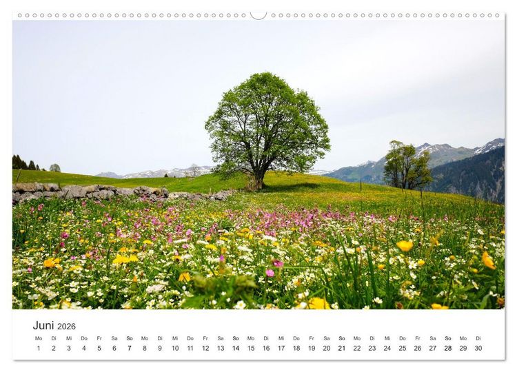 Produktbild: Die sch&ouml;nsten Blumenwiesen der Welt (hochwertiger Premium Wandkalender 2026 DIN A2 quer), Kunstdruck in Hochglanz
