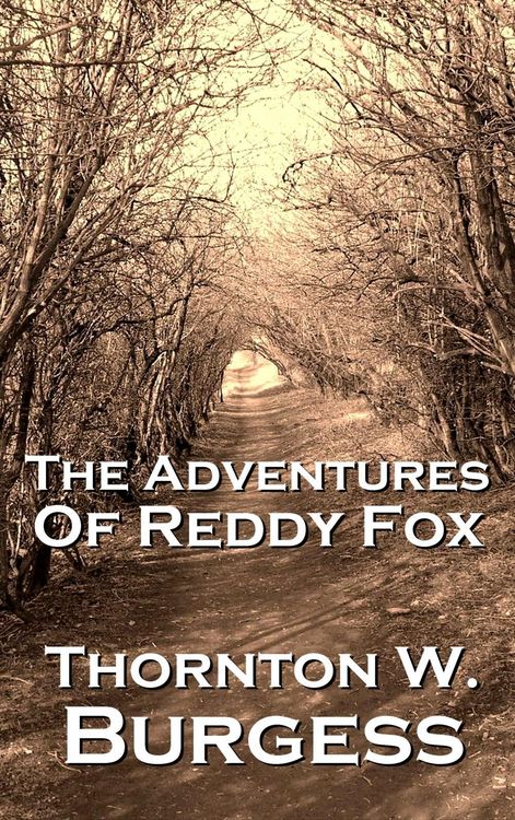 Produktbild: The Adventures Of Reddy Fox