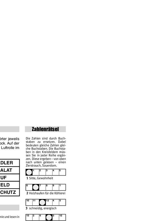 Produktbild: Der große Rätselblock 42