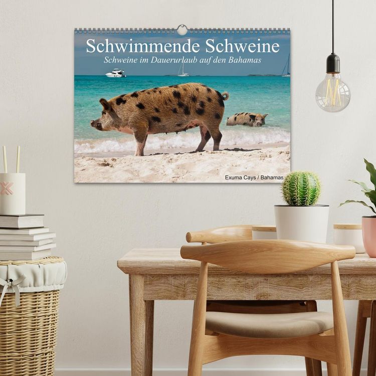 Produktbild: Schwimmende Schweine (Wandkalender 2026 DIN A3 quer), CALVENDO Monatskalender