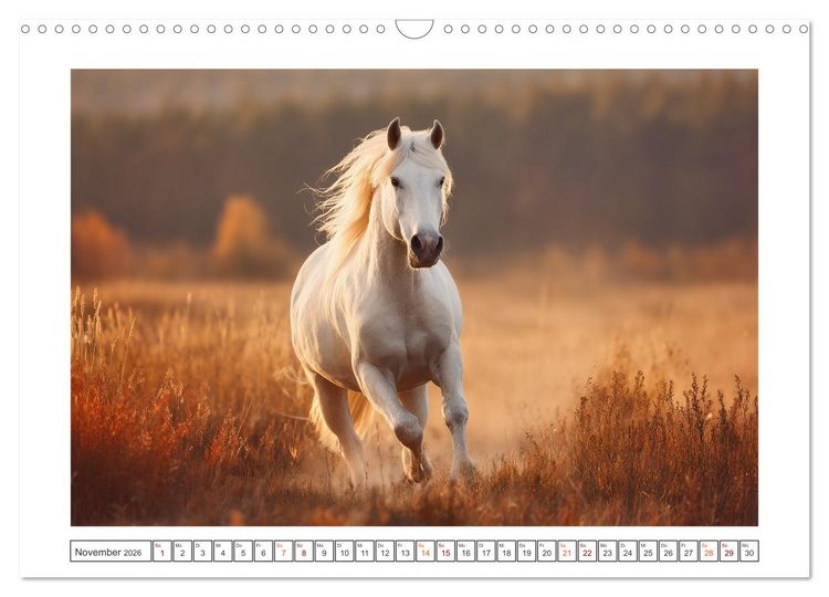 Produktbild: Magie der Wildnis (Wandkalender 2026 DIN A3 quer), CALVENDO Monatskalender