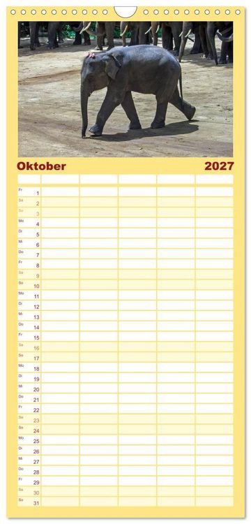 Produktbild: Familienplaner 2027 - Elefanten. Spa&szlig; am Wasser mit 5 Spalten (Wandkalender, 21 x 45 cm) CALVENDO
