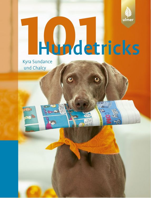 Produktbild: 101 Hundetricks