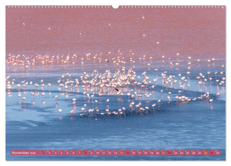 Produktbild: Farbenfrohes Bolivien (hochwertiger Premium Wandkalender 2026 DIN A2 quer), Kunstdruck in Hochglanz