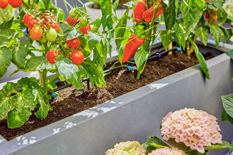 Produktbild: GARDENA Micro-Drip System 13400-20 Bew&auml;sserungs-Komplettset 13mm (1/2\") &Oslash;
