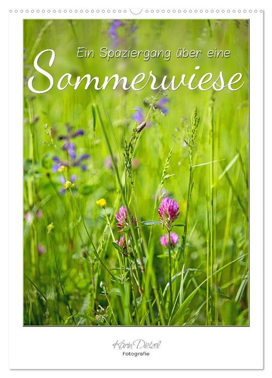Produktbild: Ein Spaziergang &uuml;ber eine Sommerwiese (Wandkalender 2026 DIN A2 hoch), CALVENDO Monatskalender