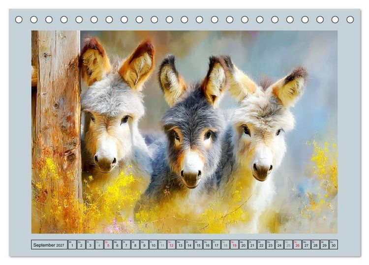 Produktbild: Zwergesel. Kleine Langohren mit gro&szlig;em Charme (Tischkalender 2027 DIN A5 quer), CALVENDO Monatskalender