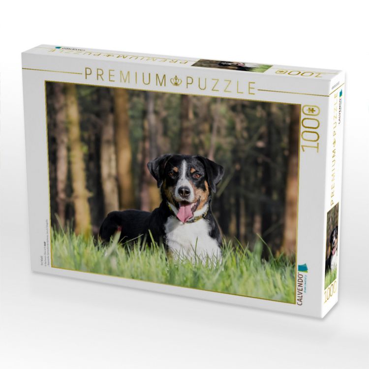 Produktbild: CALVENDO Puzzle Im Wald | 1000 Teile Lege-Gr&ouml;&szlig;e 64x48cm Foto-Puzzle f&uuml;r gl&uuml;ckliche Stunden