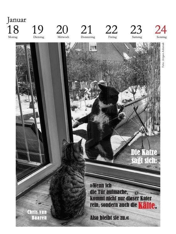 Produktbild: Der literarische Katzenkalender 2027