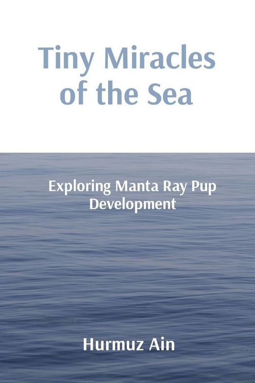 Produktbild: Tiny Miracles of the Sea