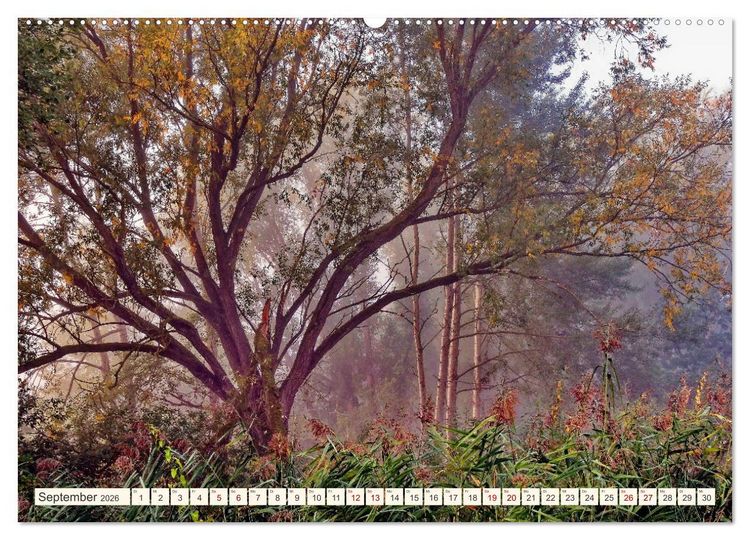 Produktbild: Hamburg: Vier- und Marschlande (Wandkalender 2026 DIN A2 quer), CALVENDO Monatskalender