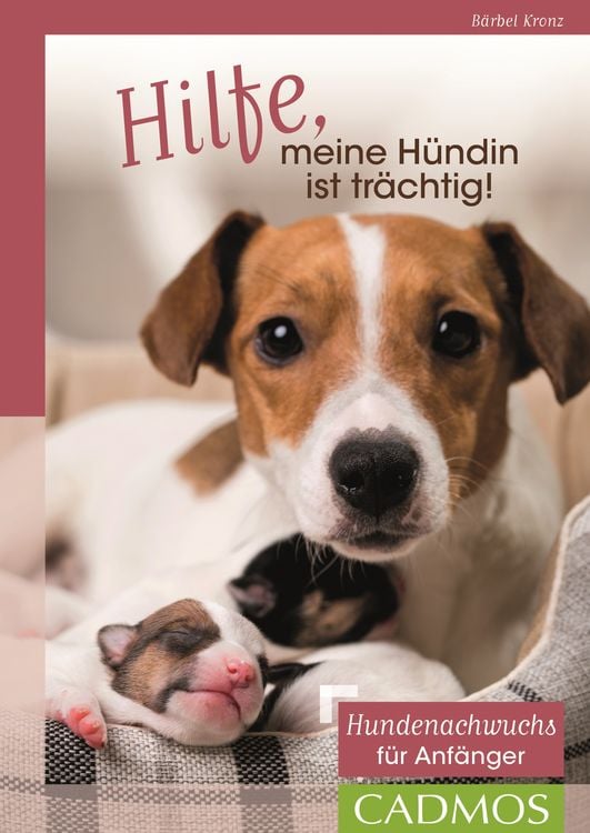 Produktbild: Hilfe, meine H&uuml;ndin ist tr&auml;chtig!