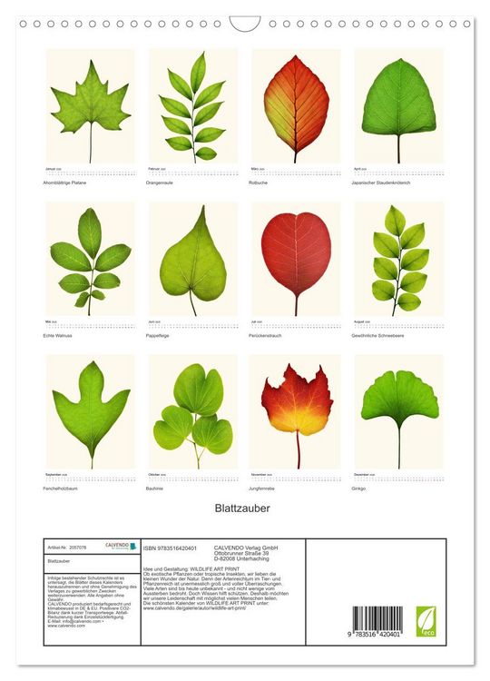 Produktbild: Blattzauber (Wandkalender 2026 DIN A3 hoch), CALVENDO Monatskalender