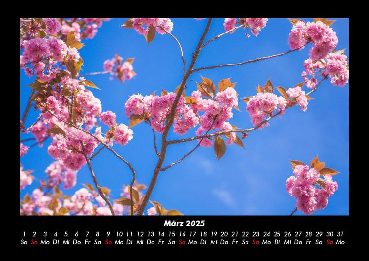 Produktbild: Naturlandschaften 2025 Fotokalender DIN A3