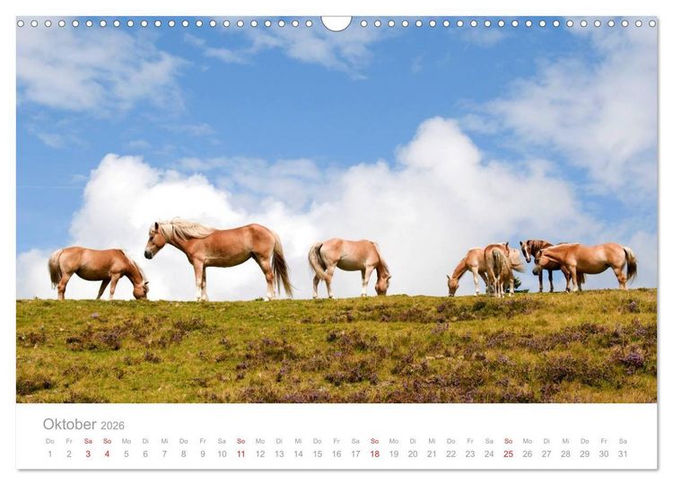 Produktbild: Pferde - In nat&uuml;rlicher Umgebung (Wandkalender 2026 DIN A3 quer), CALVENDO Monatskalender