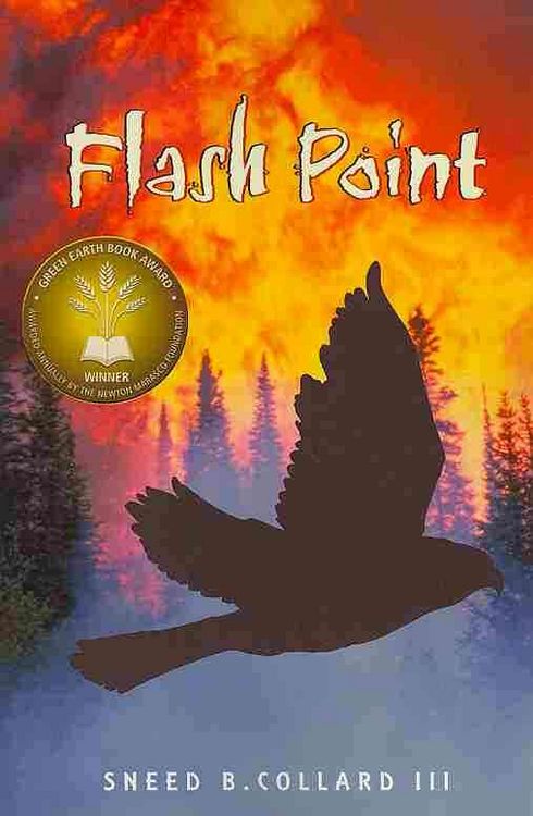 Produktbild: Flash Point