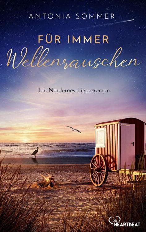 Bild vom Artikel Für immer Wellenrauschen vom Autor Antonia Sommer