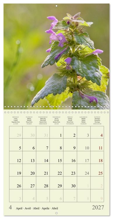 Produktbild: Petites fleurs color&eacute;es (Calendrier mural carr&eacute; 2027 30x30 cm) Calendrier double avec une page pour vos prises de notes