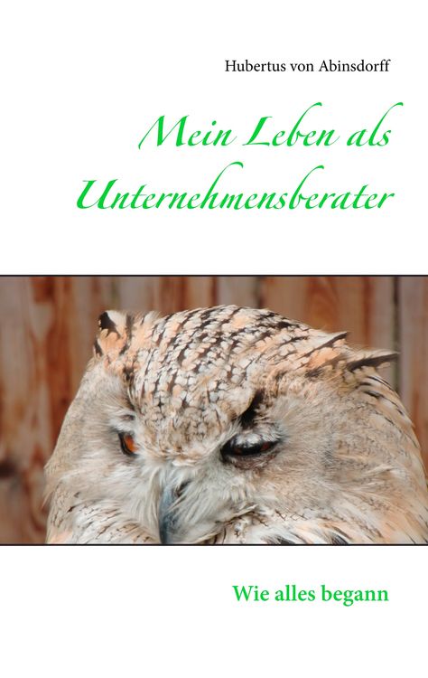 Produktbild: Mein Leben als Unternehmensberater