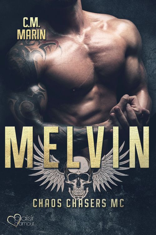 Produktbild: The Chaos Chasers MC Teil 6: Melvin