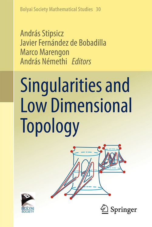 Produktbild: Singularities and Low Dimensional Topology